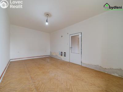 Prodej rodinného domu Trpísty č. 12