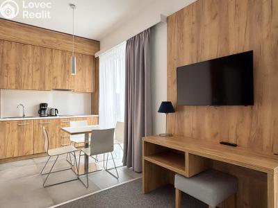 Prodej apartmánů Dolní Morava č. 5