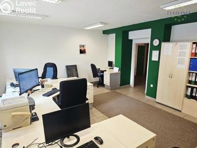 Prodej rodinného domu Kralupy nad Vltavou, V Uličce 661 č. 25