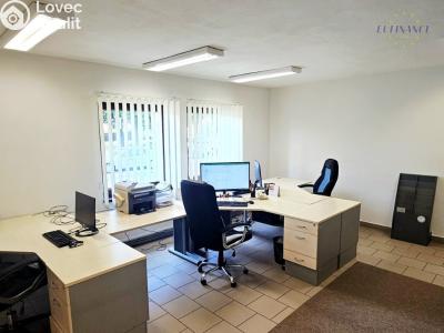 Prodej obchodního prostoru Kralupy nad Vltavou, V Uličce 661 č. 5