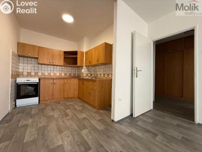 Pronájem bytu 2+KK Bílina, Aléská 255 č. 8