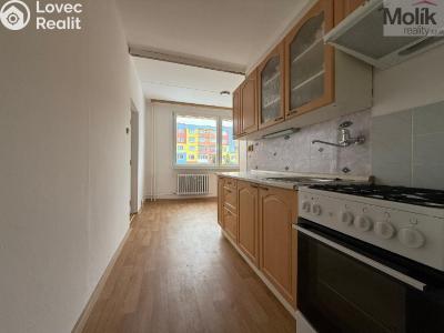 Аренда квартиры 2+1 Bílina, Sídliště Za Chlumem 758 č. 2
