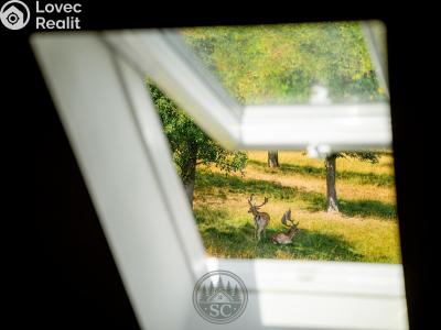 Prodej zemědělské usedlosti Luby č. 36