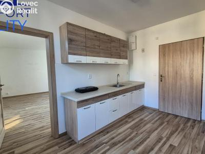 Аренда квартиры 1+1 Odry, 1. máje č. 2