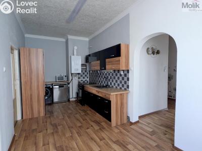 Аренда квартиры 3+1 Košťany, Hornická 46 č. 4
