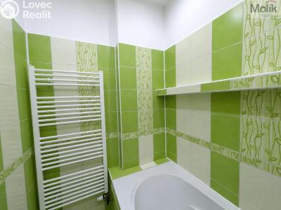 Аренда квартиры 3+1 Košťany, Hornická 46 č. 18