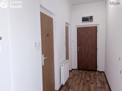 Аренда квартиры 3+1 Košťany, Hornická 46 č. 20