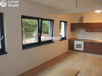 Rent apartment 1+KK Loděnice, Ke brodu č. 2