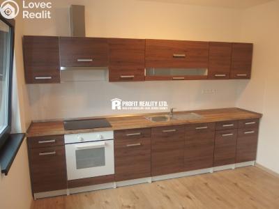 Rent apartment 1+KK Loděnice, Ke brodu č. 3