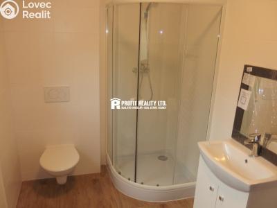 Rent apartment 1+KK Loděnice, Ke brodu č. 4