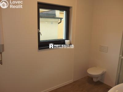 Rent apartment 1+KK Loděnice, Ke brodu č. 5