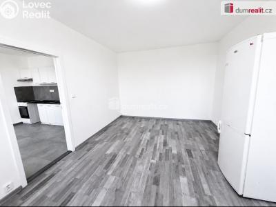 Rent apartment 1+1 Ústí nad Labem, Kmochova č. 12