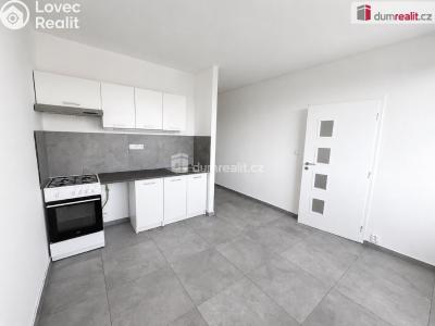 Rent apartment 1+1 Ústí nad Labem, Kmochova č. 14