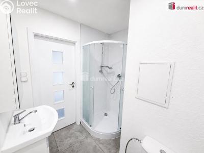 Rent apartment 1+1 Ústí nad Labem, Kmochova č. 4