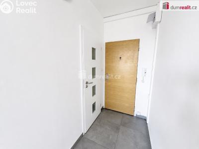 Rent apartment 1+1 Ústí nad Labem, Kmochova č. 6