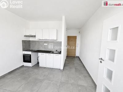 Rent apartment 1+1 Ústí nad Labem, Kmochova č. 10