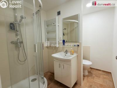 Rent apartment 1+KK Děčín, Pohraniční č. 14