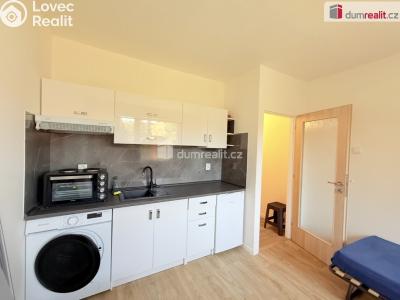 Rent apartment 1+KK Děčín, Pohraniční č. 4