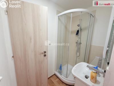 Rent apartment 1+KK Děčín, Pohraniční č. 18