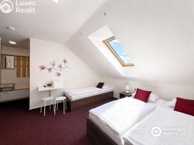Sale hotel Jevišovka č. 24