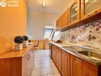 Sale apartment 3+KK Vyškov, Palánek č. 3