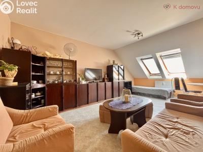 Sale apartment 3+KK Vyškov, Palánek č. 6