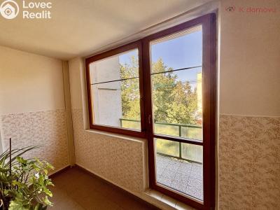 Sale apartment 3+KK Vyškov, Palánek č. 23