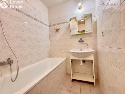 Sale apartment 3+KK Vyškov, Palánek č. 27