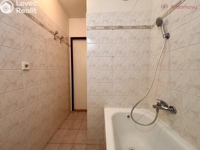 Sale apartment 3+KK Vyškov, Palánek č. 29