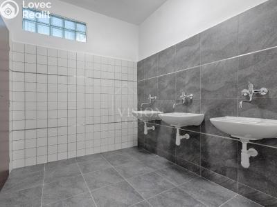 Pronájem kanceláře Jindřichův Hradec č. 3