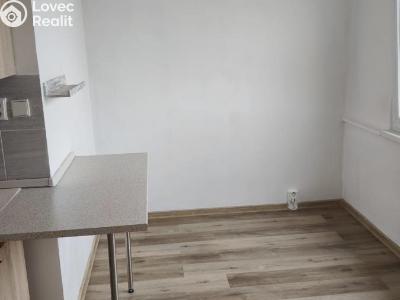 Pronájem bytu 2+1 Chomutov, Bezručova 4241 č. 2