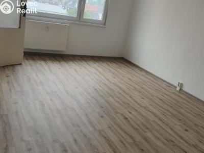 Pronájem bytu 2+1 Chomutov, Bezručova 4241 č. 4
