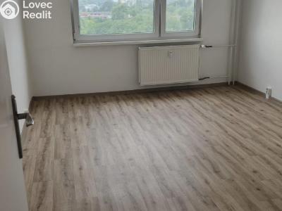 Pronájem bytu 2+1 Chomutov, Bezručova 4241 č. 5