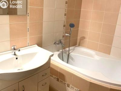 Pronájem bytu 1+KK Dobrá Voda u Českých Budějovic, Lázeňská č. 5