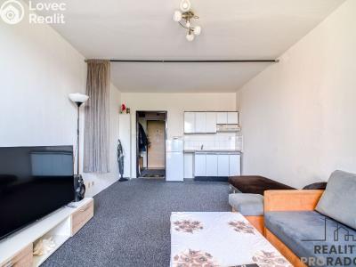 Sale apartment 1+KK Havířov, Lidická č. 1