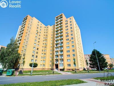 Sale apartment 1+KK Havířov, Lidická č. 14