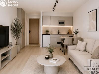 Sale apartment 1+KK Havířov, Lidická č. 15