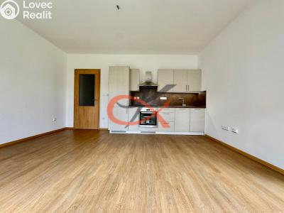 Pronájem bytu 1+KK Rožnov pod Radhoštěm, Písečná č. 2