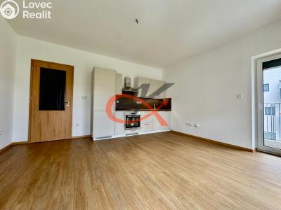 Pronájem bytu 1+KK Rožnov pod Radhoštěm, Písečná č. 5