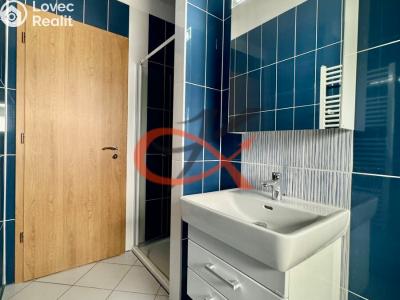 Pronájem bytu 1+KK Rožnov pod Radhoštěm, Písečná č. 7