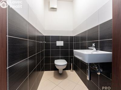 Sale apartment 3+KK Praha, Nad přehradou č. 17