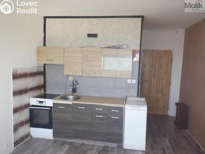 Pronájem bytu 1+1 Chomutov, Písečná 5039 č. 3