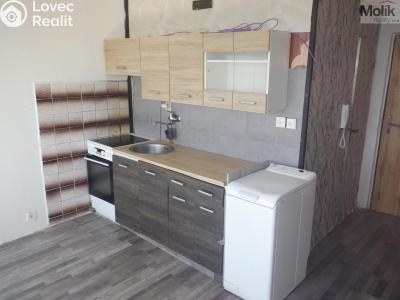 Pronájem bytu 1+1 Chomutov, Písečná 5039 č. 6