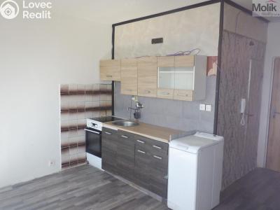 Pronájem bytu 1+1 Chomutov, Písečná 5039 č. 16