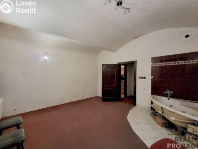 Rent commercial space Praha, Petřínská č. 6