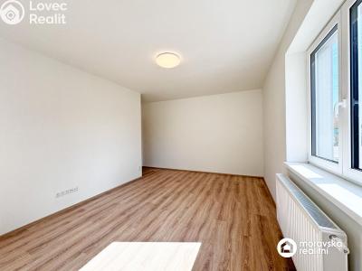 Pronájem bytu 2+1 Vémyslice č. 10