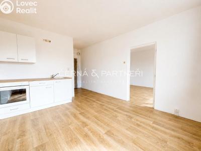 Rent apartment 1+1 Bílina, Sídliště Za Chlumem 793 č. 9