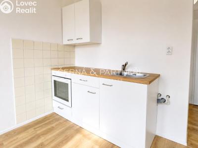 Rent apartment 1+1 Bílina, Sídliště Za Chlumem 793 č. 1