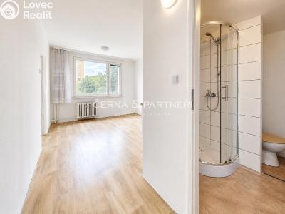 Rent apartment 1+1 Bílina, Sídliště Za Chlumem 793 č. 3
