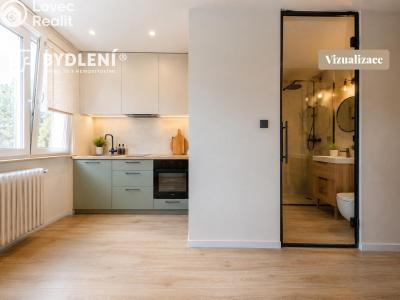 Продажа квартиры 1+1 Krupka, Sídliště Nad plovárnou 513 č. 17